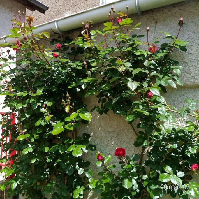 Maison Aux Portes Du Centre Historique De Dijon Avec 3 Chambres Et Garage Exterior foto